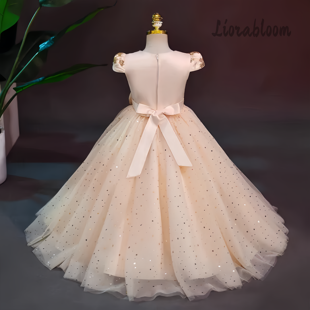 Formal Multicolor Evening Gown - Women'S Formal Wear For Girls บทวิจารณ์และราคา