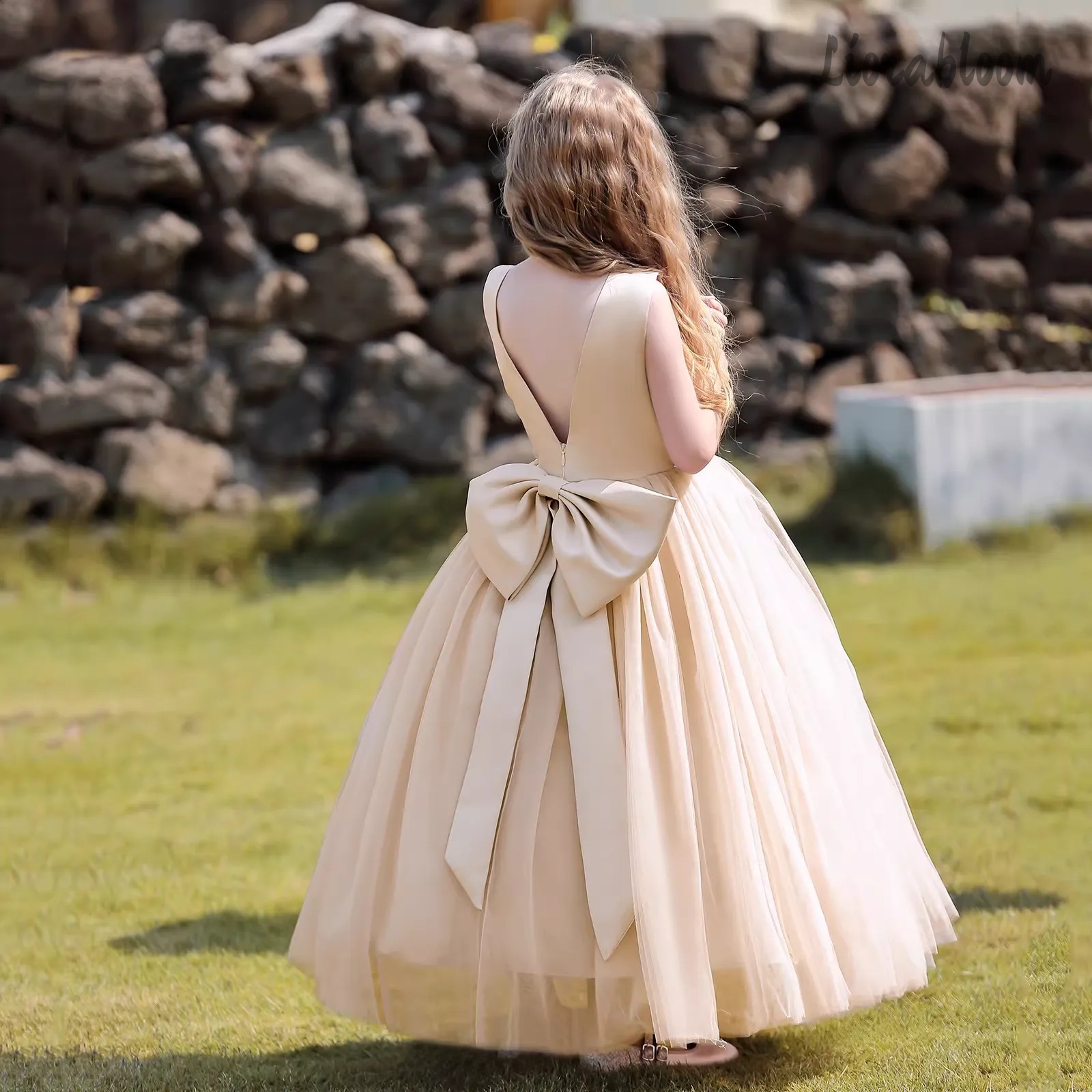 Multicolor Backless Princess D - Women'S Formal Wear For Girls บทวิจารณ์และราคา